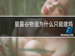 星露谷物语为什么只能建鸡