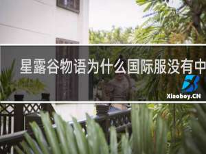 星露谷物语为什么国际服没有中文