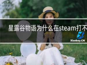星露谷物语为什么在steam打不开