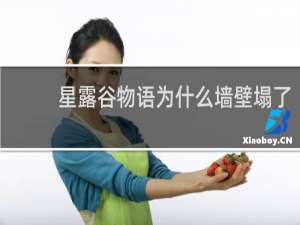 星露谷物语为什么墙壁塌了