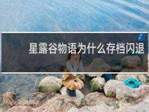 星露谷物语为什么存档闪退