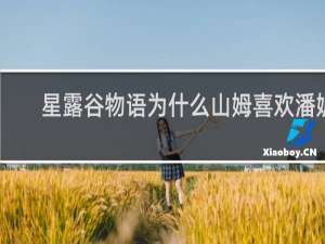 星露谷物语为什么山姆喜欢潘妮