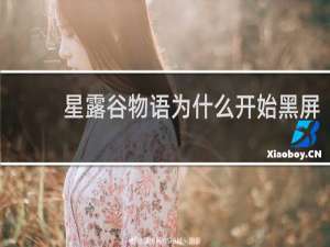 星露谷物语为什么开始黑屏