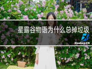 星露谷物语为什么总掉垃圾