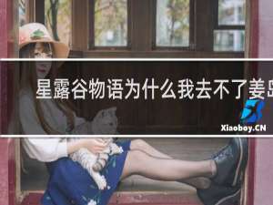 星露谷物语为什么我去不了姜岛