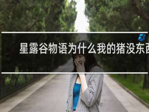 星露谷物语为什么我的猪没东西