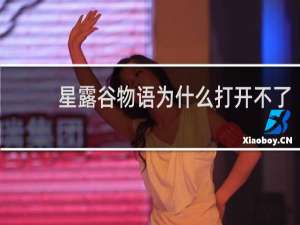 星露谷物语为什么打开不了