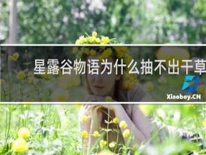 星露谷物语为什么抽不出干草