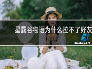 星露谷物语为什么拉不了好友
