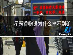星露谷物语为什么挖不到矿