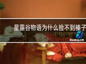 星露谷物语为什么捡不到榛子