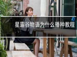 星露谷物语为什么播种教程