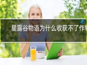 星露谷物语为什么收获不了作物