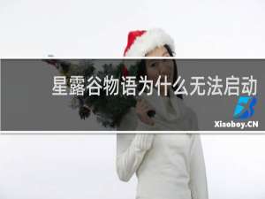 星露谷物语为什么无法启动