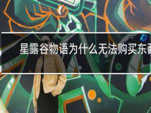 星露谷物语为什么无法购买东西