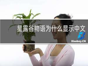 星露谷物语为什么显示中文