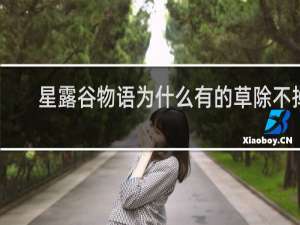 星露谷物语为什么有的草除不掉