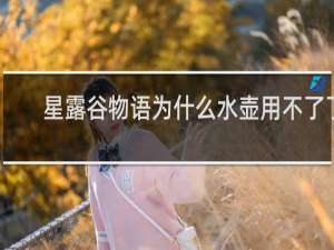 星露谷物语为什么水壶用不了了