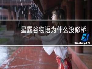 星露谷物语为什么没修桥