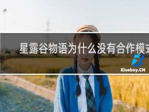 星露谷物语为什么没有合作模式