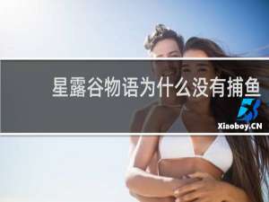星露谷物语为什么没有捕鱼