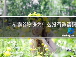 星露谷物语为什么没有邀请码