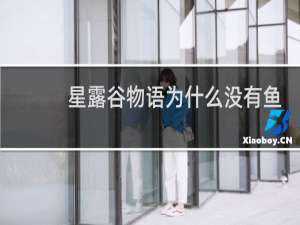 星露谷物语为什么没有鱼