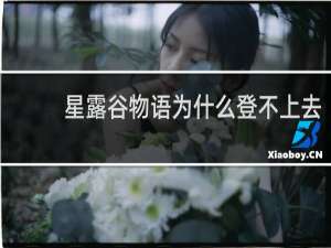 星露谷物语为什么登不上去