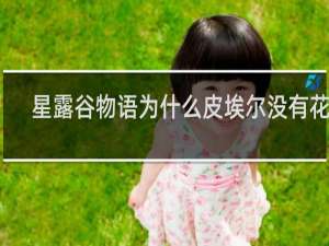 星露谷物语为什么皮埃尔没有花束