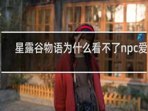 星露谷物语为什么看不了npc爱心