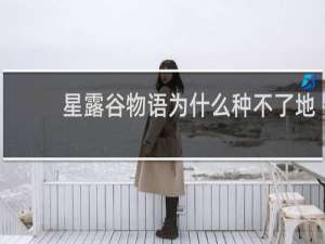 星露谷物语为什么种不了地