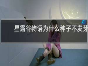 星露谷物语为什么种子不发芽