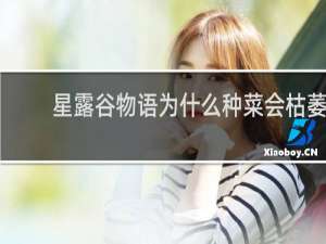 星露谷物语为什么种菜会枯萎