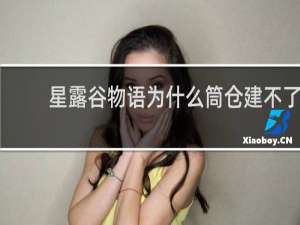 星露谷物语为什么筒仓建不了