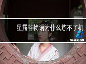 星露谷物语为什么练不了机