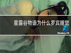 星露谷物语为什么罗宾睡觉