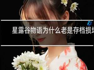 星露谷物语为什么老是存档损坏