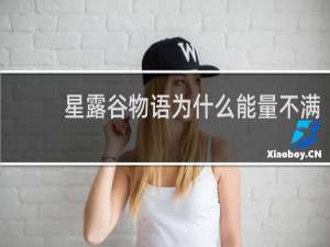 星露谷物语为什么能量不满