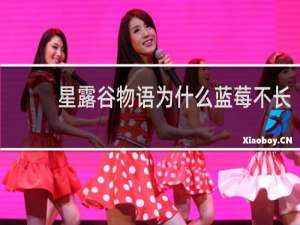 星露谷物语为什么蓝莓不长