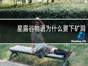 星露谷物语为什么要下矿洞