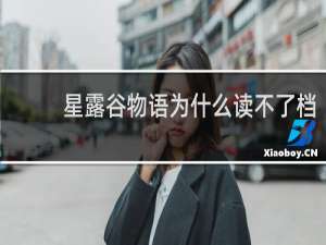 星露谷物语为什么读不了档