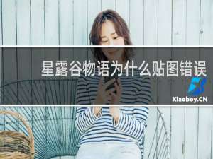 星露谷物语为什么贴图错误