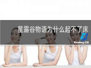 星露谷物语为什么起不了床