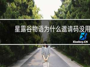 星露谷物语为什么邀请码没用