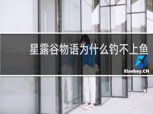 星露谷物语为什么钓不上鱼