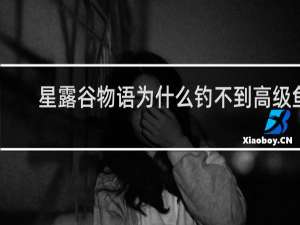 星露谷物语为什么钓不到高级鱼