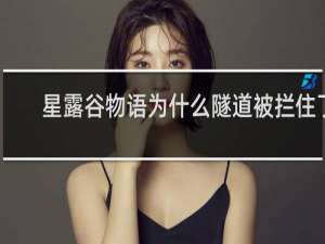 星露谷物语为什么隧道被拦住了