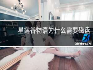 星露谷物语为什么需要磁盘