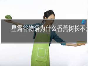星露谷物语为什么香蕉树长不大