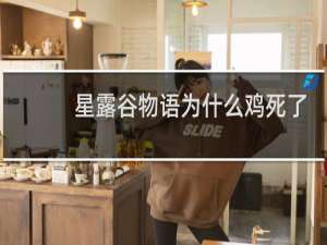 星露谷物语为什么鸡死了